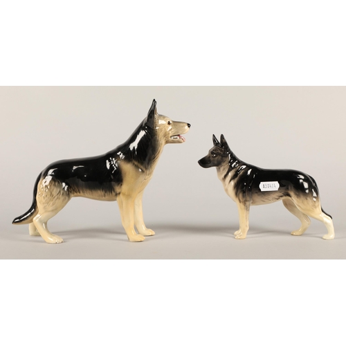 24 - Two German Shepard figures to include, Beswick and Ulrica (2)