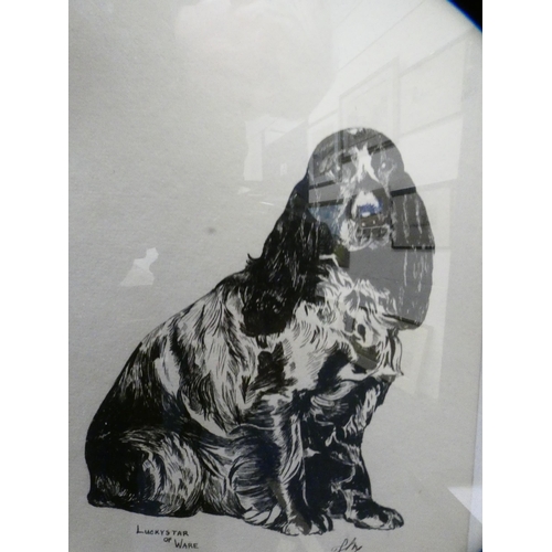 15 - Group of miscellaneous pictures and prints to include dog portraits, 'Luckystar of Ware', birds, mod... 