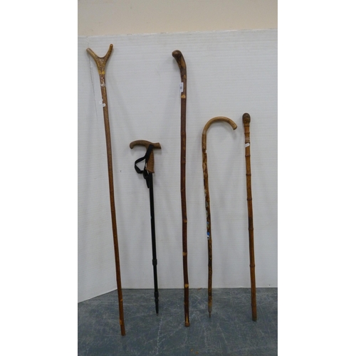 59 - Five assorted walking sticks to include a crook and a gnarled stick.  (5)