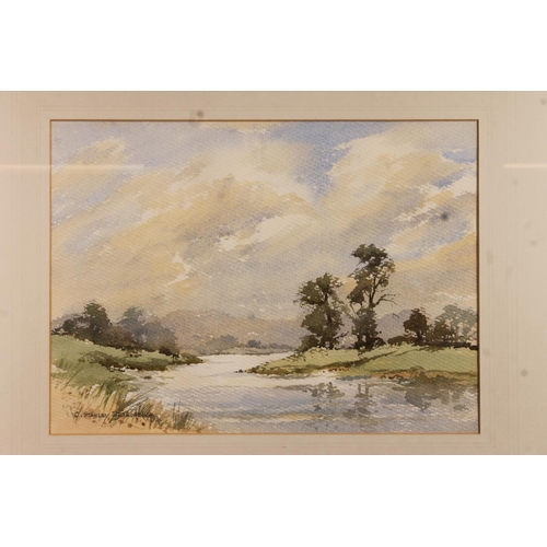 410 - C STANLEY DESBOROUGH, Springtime River Exe, watercolour, signed lower left, 27cm x 37cm, frame 49cm ... 