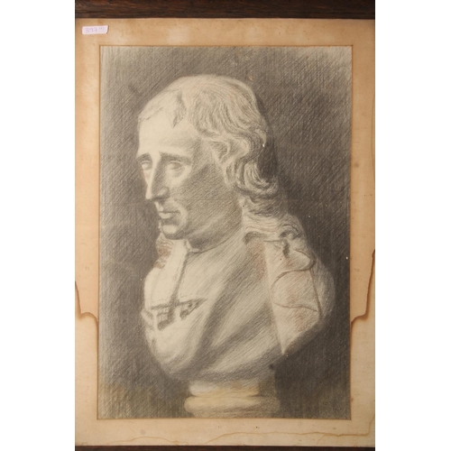 397 - D SMAIL, bust length portrait of a gentleman, charcoal drawing, signed lower right, 47cm x 29cm, fra... 