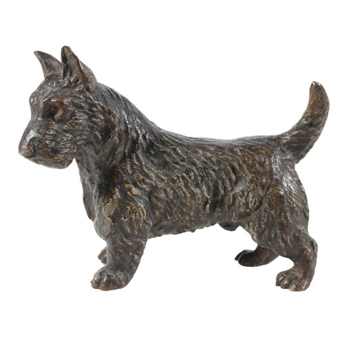 Small Austrian cold painted bronze Scottish terrier dog.