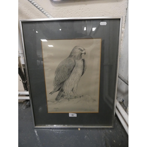 Lot 30        