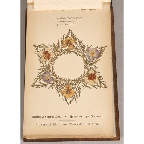 46 - Jerusalem 'Flowers of the Holy Land' vintage tourist travel souvenir book, bound in wood with marque... 