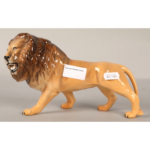 35 - Beswick lion figurine, length 20cm