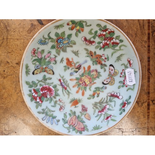 26 - Small Celadon Canton Chinese plate with butterfly, bird, and fruit motifs and character marks to bas... 