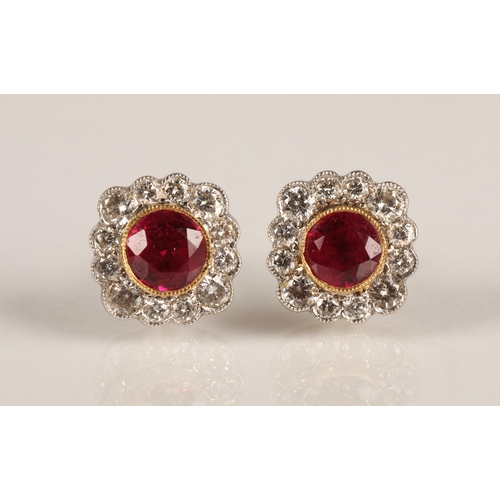 66 - Pair of ladies 18ct yellow gold diamond and ruby earrings, central ruby surrounded by twelve small d... 
