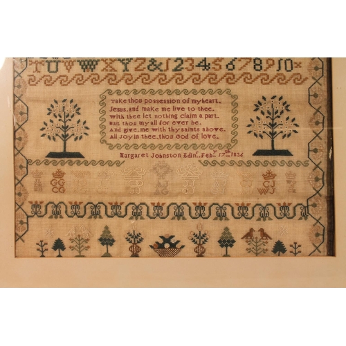 30 - William IV antique needlework sampler by Margaret Johnson of Edinburgh, executed on 17th February 18... 