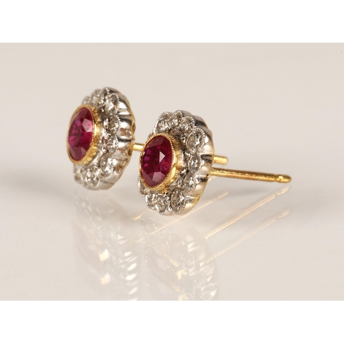 66 - Pair of ladies 18ct yellow gold diamond and ruby earrings, central ruby surrounded by twelve small d... 