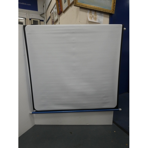 29 - Aldis 303 projector and screen.