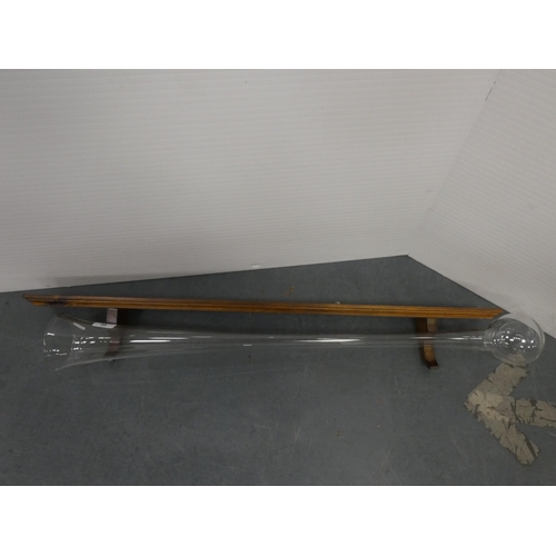Lot 49        