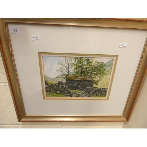 Lot 25        