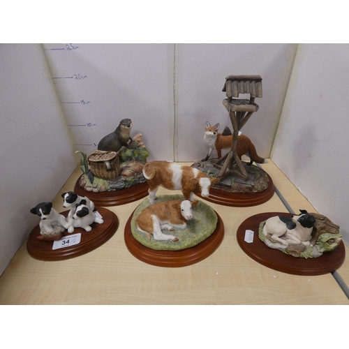 Lot 34        