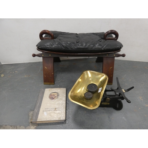 Lot 54        