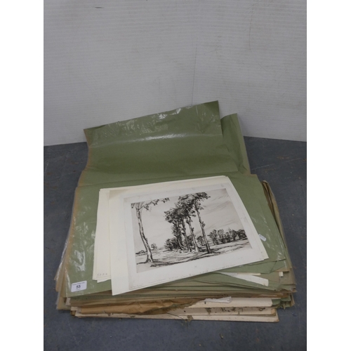 Lot 55        