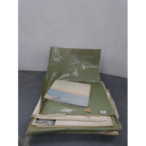 Lot 56        