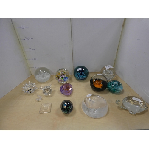 Lot 7         