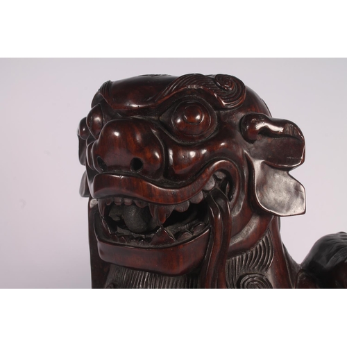17 - Chinese carved hardwood Qilin or Foo Dog figure, 36cm high.