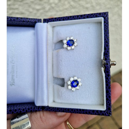 64 - Pair of ladies 18ct white gold sapphire and diamond earrings, central sapphire surrounded by eight s... 