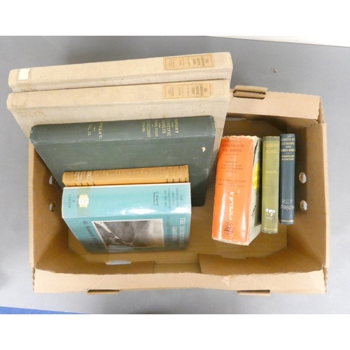 Lot 23        