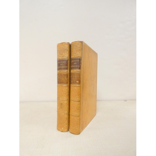 Lot 44        