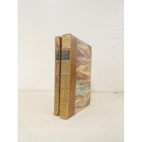 Lot 45        