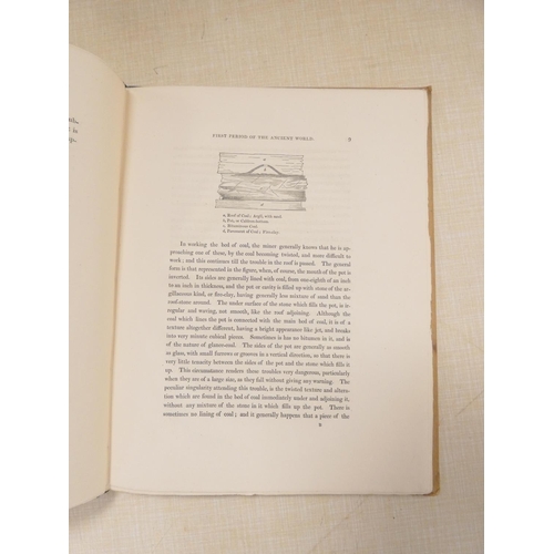WITHAM HENRY. Observations on Fossil Vegetables Accompanied by ...