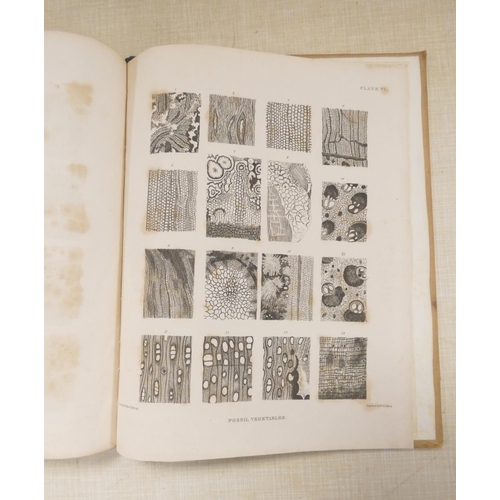 WITHAM HENRY. Observations on Fossil Vegetables Accompanied by ...