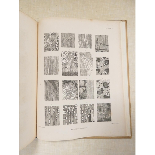WITHAM HENRY. Observations on Fossil Vegetables. A further copy of the ...