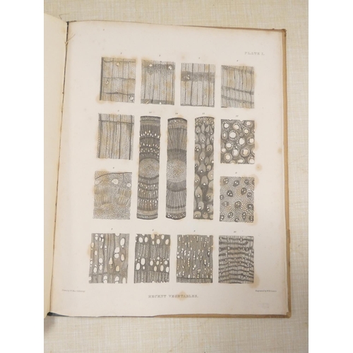 WITHAM HENRY. Observations on Fossil Vegetables. A further copy of the ...
