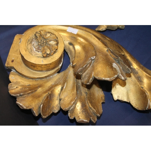 42 - Pair of late 19th century gesso gilt sprays in acanthus leaf form, 37cm high.