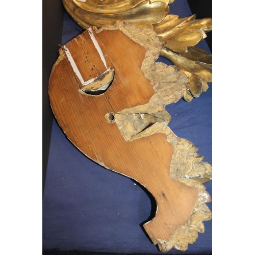 42 - Pair of late 19th century gesso gilt sprays in acanthus leaf form, 37cm high.