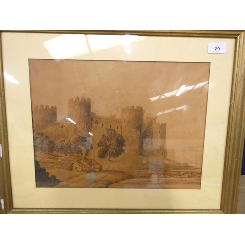 Lot 29        
