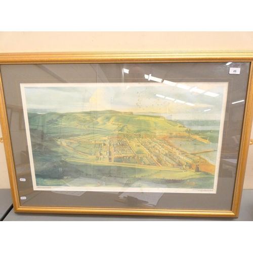Lot 49        