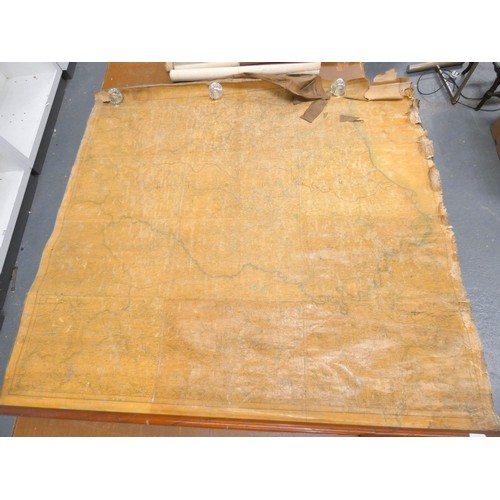 Lot 53        