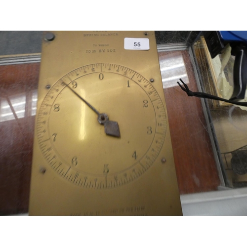 Lot 55        