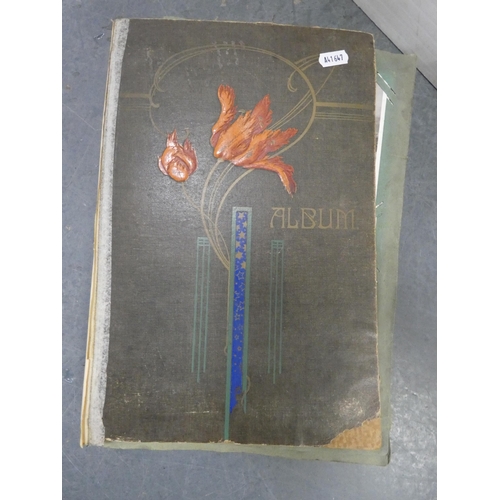Lot 41        