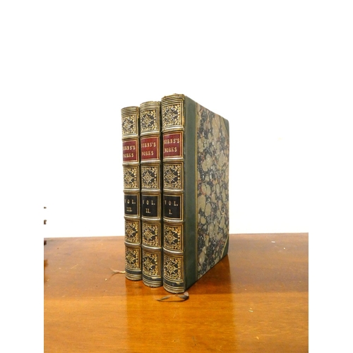 Lot 13        