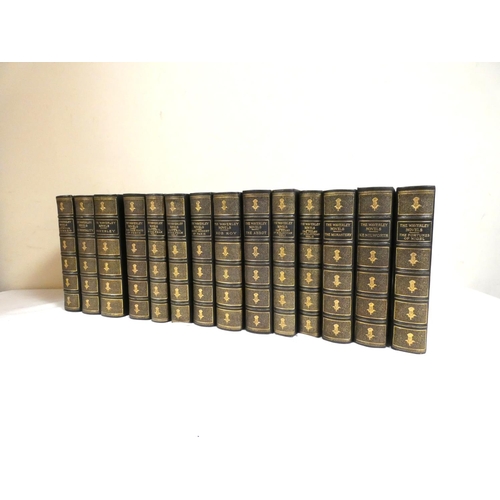 Lot 9         
