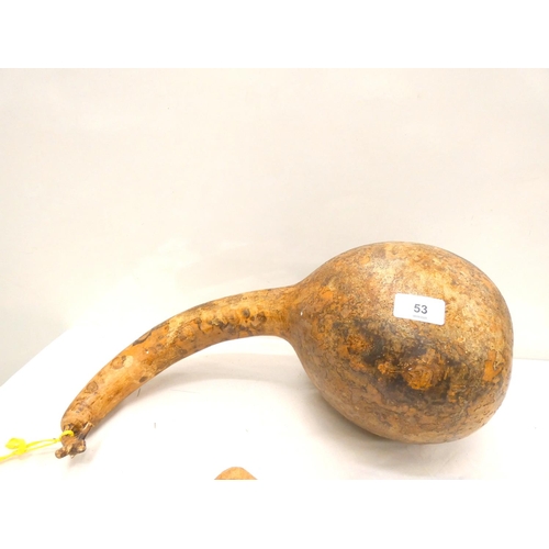 Lot 53        