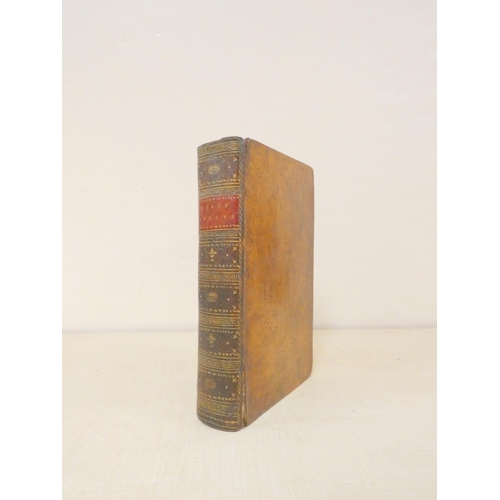 Lot 173       