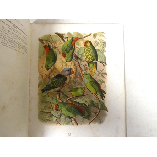 235 - REICHENOW ANTON.  Parrots Of The World or Vogelbilder aus Fernen Zonen. Folio, 36.5cm x 27cm. Disbou... 