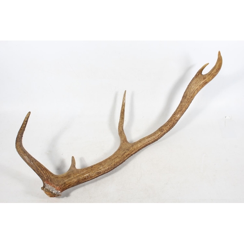 Lot 24        