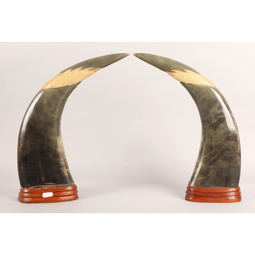 46 - Pair of mounted horns with carved dragon and tiger design, approx. 38cm h.