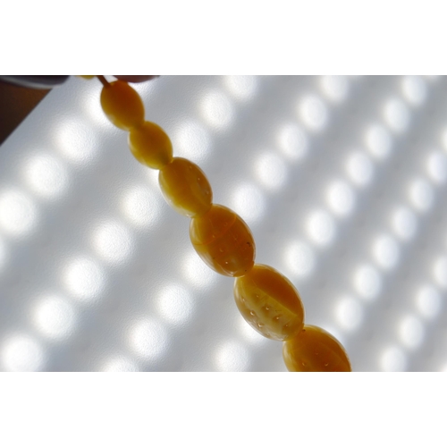 65 - String of Baltic translucent amber beads, c. early 20th century, comprising sixty-two graduated oval... 