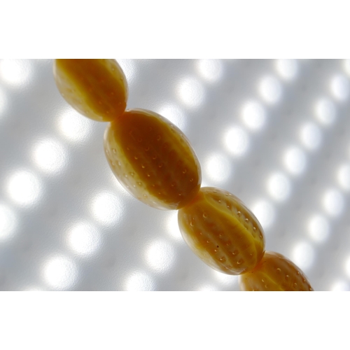 65 - String of Baltic translucent amber beads, c. early 20th century, comprising sixty-two graduated oval... 