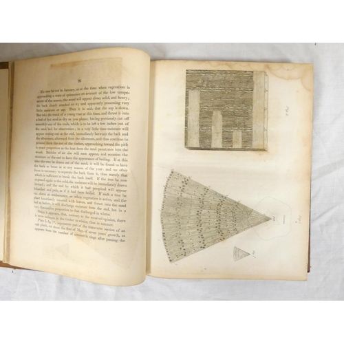 6 - MCWILLIAM ROBERT.&nbsp; An Essay on the Origin & Operation of the Dry Rot With a View to Its Pre... 