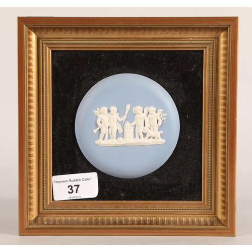Lot 37        