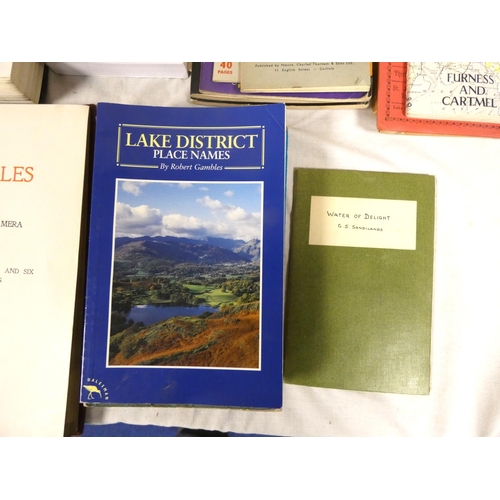 10 - Cumbria & The Northern Counties.&nbsp;&nbsp;A carton of various books & softback publication... 