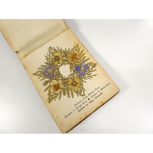 52 - Antique Middle Eastern box, also Jerusalem olive wood album of pressed leaves.